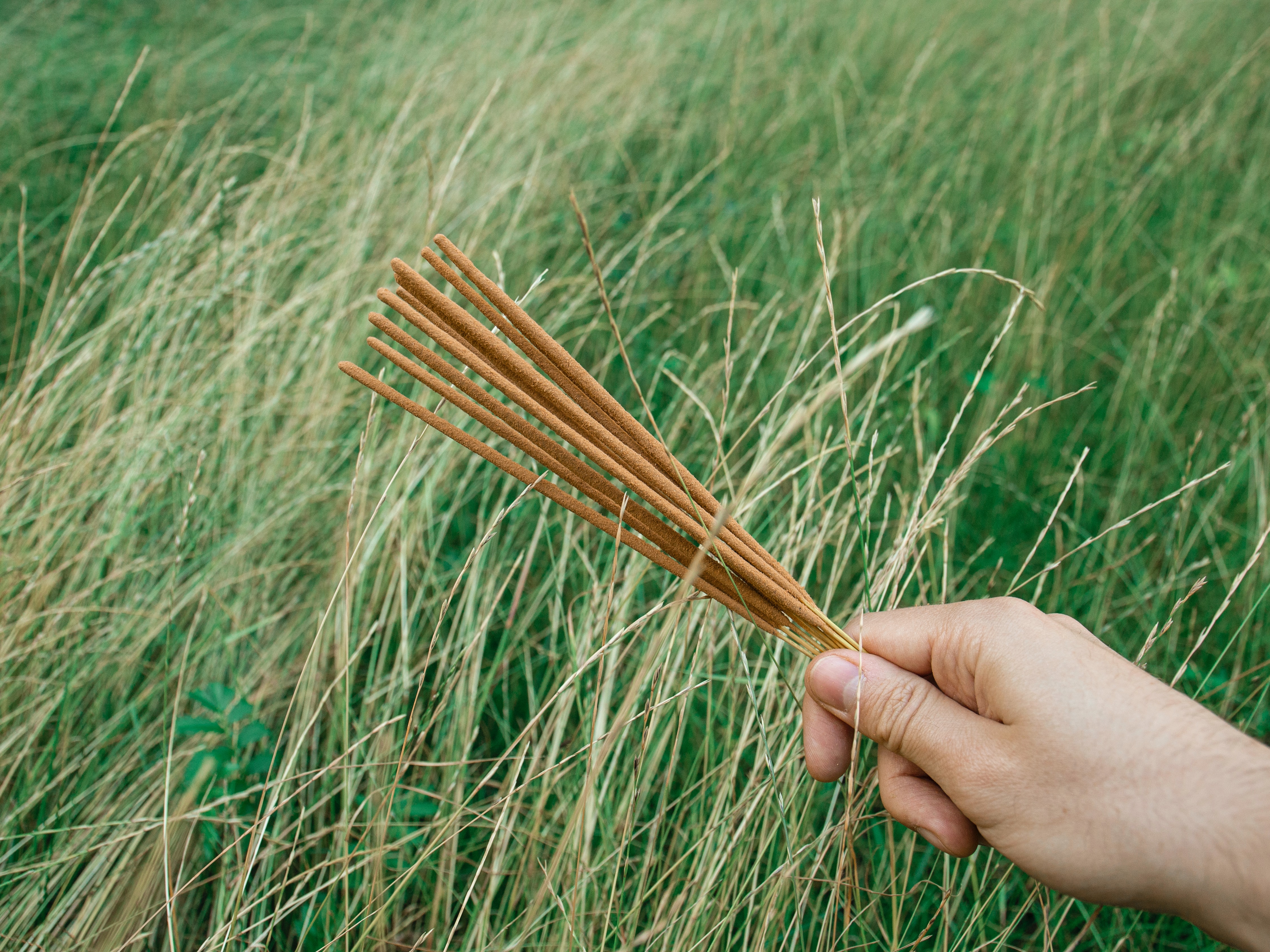 a photograph of someone holding incense sticks in a field